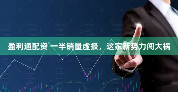 盈利通配资 一半销量虚报，这家新势力闯大祸